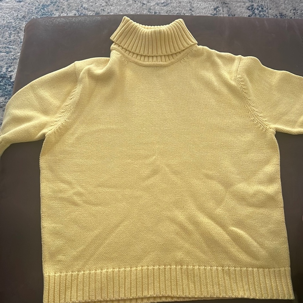 Gently used Short sleeve turtleneck sweater